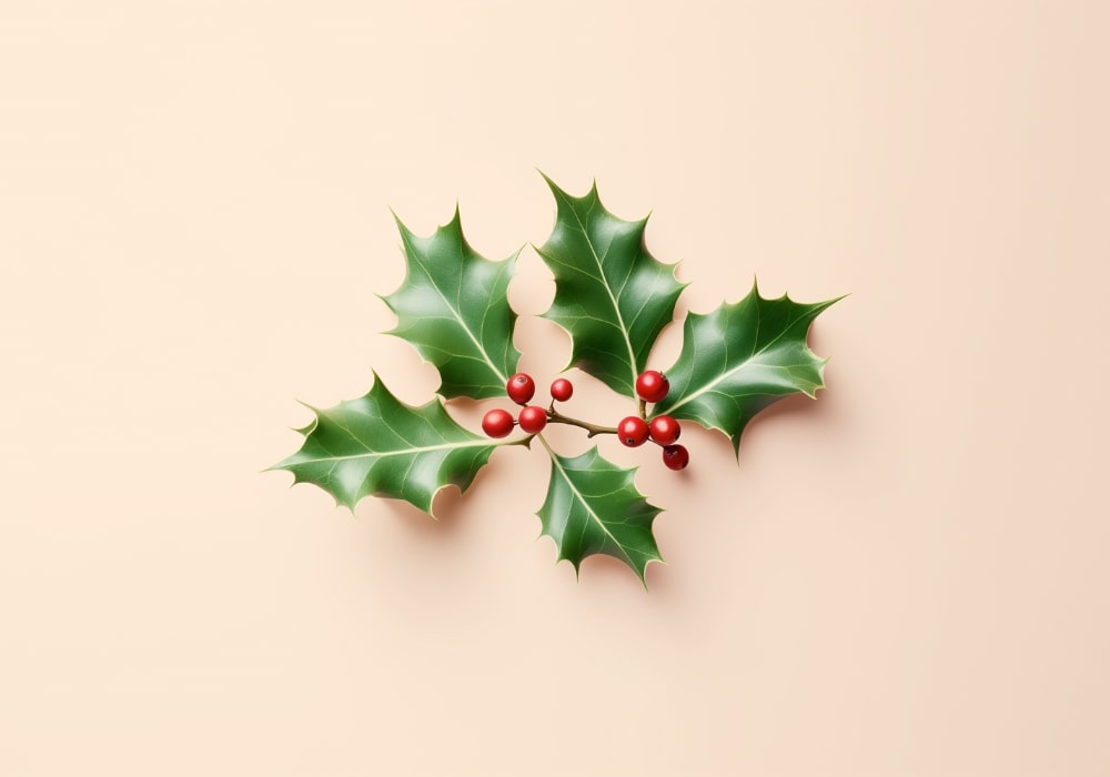 How to buy an iPhone 14 Pro or Pro Max for the holidays